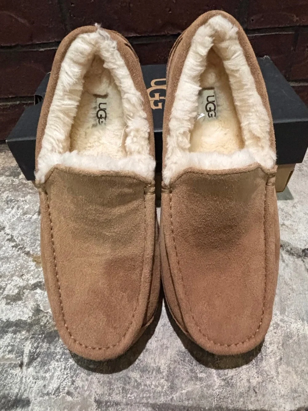 NWT MENS UGG ASCOT CHESTNUT SUEDE SLIPPERS SZ 9